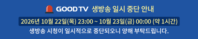 일시점검